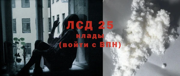 ешки Пересвет