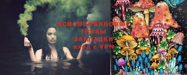 синтетический гашиш Алексин