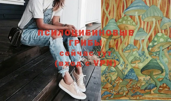 марихуана Абаза